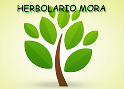 Herbolario Mora FITOTERAPIA Y ALIMENTACIÓN ECOLOGICACOLÓGICA Logo